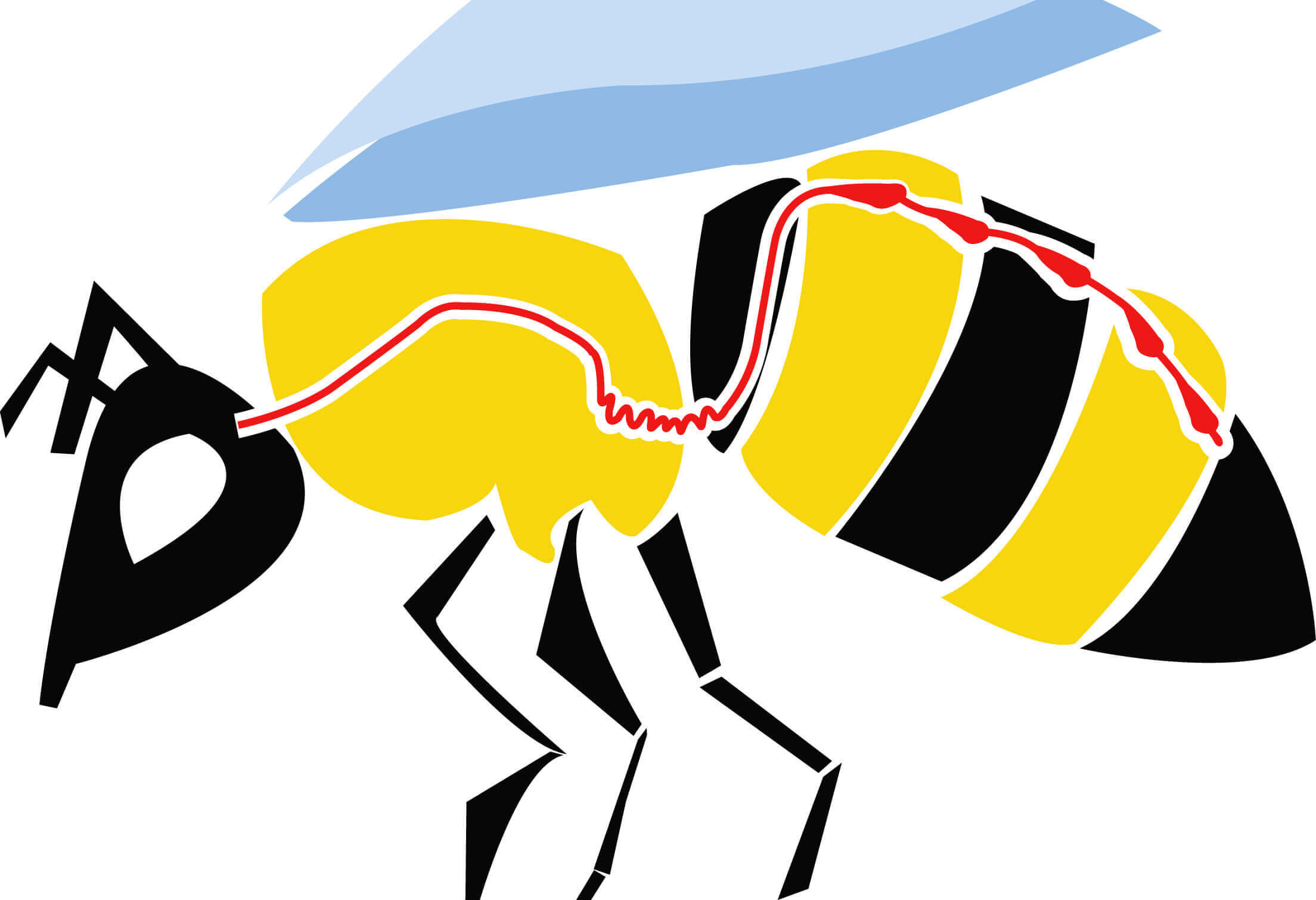 abeja-hemolinfa.jpg