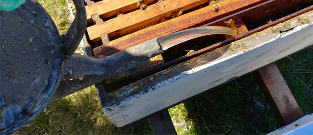 foto_4.jpg