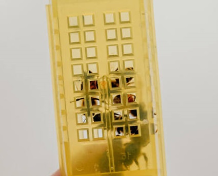 abeja-reina.jpg