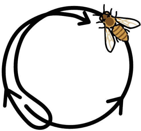 danza-circular.jpg
