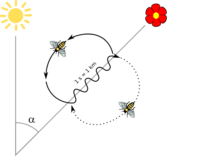 danza-en-zigzag.png