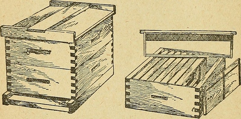 apicultura-para-connecticut-(1918).jpg