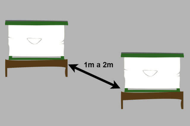 distancia-entre-colmenas.jpg