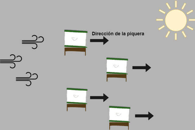 direccion-de-colmenas.jpg