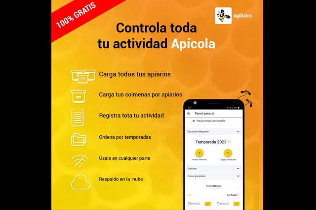 ApiDatos-1.jpg