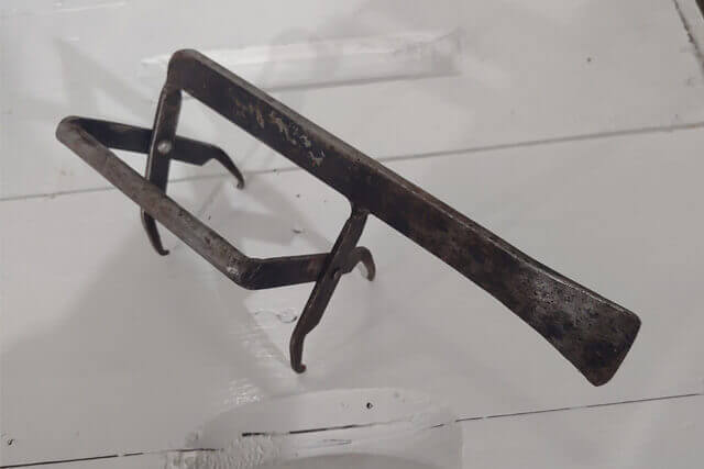 pinza-de-apicultor.jpg